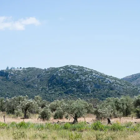 Bed & Breakfast Serra Serena