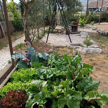 Serra Serena Bed & Breakfast