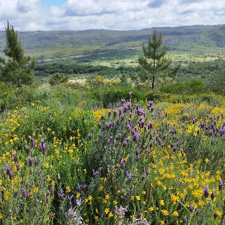 Serra Serena * Zambujal (Leiria)